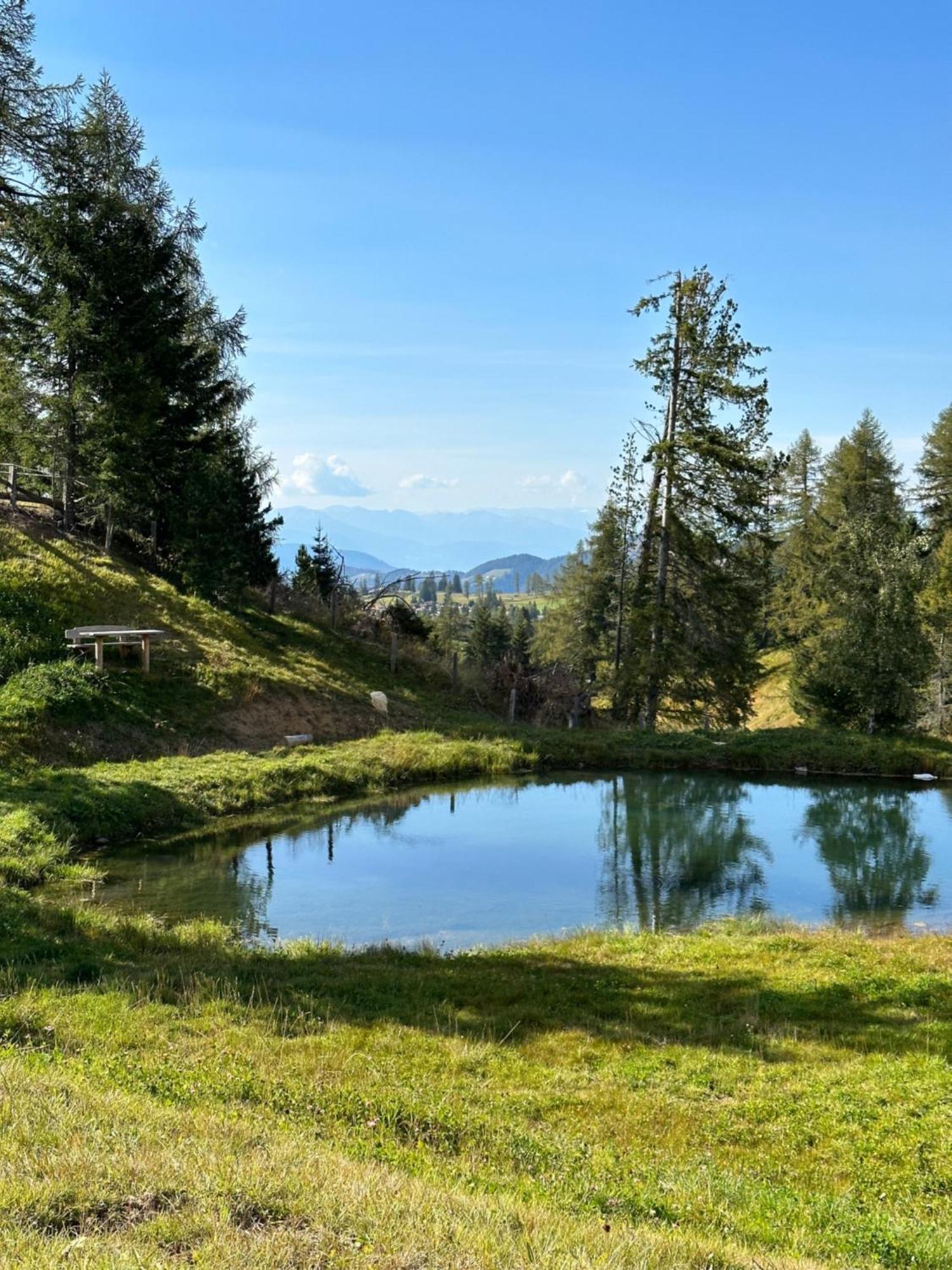 Costalungahouse Trekkingbikeski Selfcheck-In Apartment Carezza al Lago Luaran gambar
